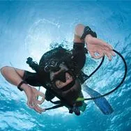 discover-scuba-diving-padi